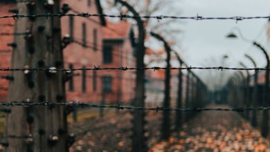 Photo of «Борьба с забвением»: в ООН почтили память жертв Холокоста 