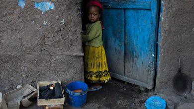 Photo of Tigray’s children in crisis and beyond reach, after months of conflict: UNICEF