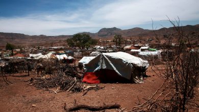 Photo of Из-за межобщинных столкновений в Дарфуре уже 100 тысяч человек покинули свои дома