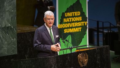 Photo of We all have a role to play for a better tomorrow, UN Assembly President says in New Year message