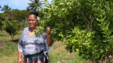 Photo of FROM THE FIELD: COVID crisis creates new wave of self-reliance for Tonga