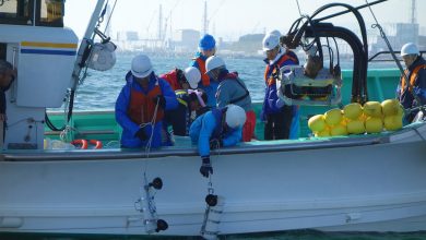 Photo of Japan: UN experts ‘deeply disappointed’ by decision to discharge Fukushima water