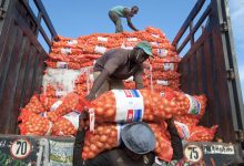 Photo of New UN-backed framework to boost agricultural trade between African nations
