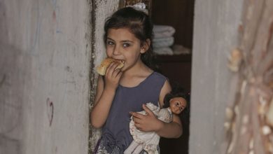 Photo of WFP moves to support families affected by Gaza violence 