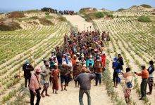 Photo of Climate change and hunger in Madagascar: a UN Resident Coordinator blog