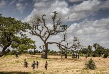 Photo of New FAO report highlights urgent need to restore Africa’s degraded landscape