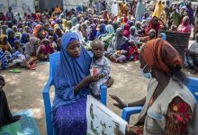 Photo of Displaced in northeast Nigeria ‘knocking on door of starvation’: WFP