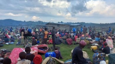 Photo of Thousands flee DR Congo fighting for Uganda: UNHCR
