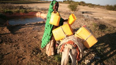 Photo of Worsening drought affects 2.3 million people in Somalia 
