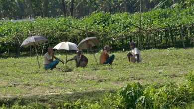 Photo of From the Field: Pioneer brings farming jobs to marginalized Bangladesh communities