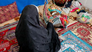 Photo of More than half of Afghans face food insecurity at ‘crisis’ or ‘emergency’ levels