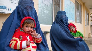 Photo of WFP appeals for greater support for Afghanistan as hunger increases
