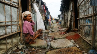 Photo of UN expert underscores importance of human rights for Rohingya