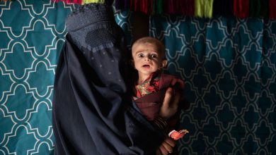 Photo of Avoid starvation: ‘Immediate priority’ for 3.5 million Afghans 
