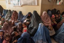 Photo of Experts decry measures to ‘steadily erase’ Afghan women and girls from public life