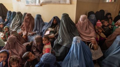 Photo of Experts decry measures to ‘steadily erase’ Afghan women and girls from public life